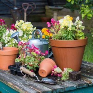 11000000000002110-768x768